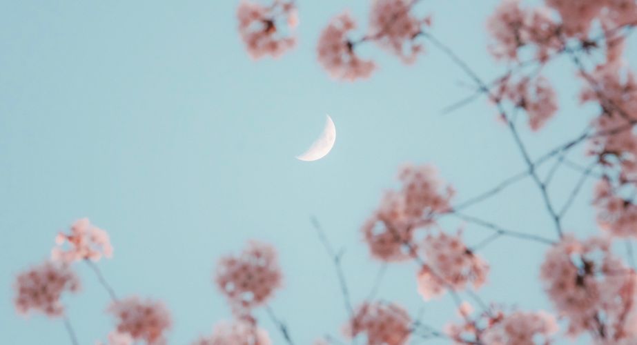 Singlereis China Singlereis China